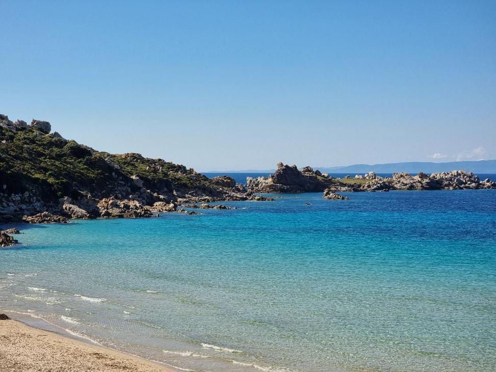 Appartement La Stella Azzurra Sul Mare à Santa Teresa Gallura Extérieur photo